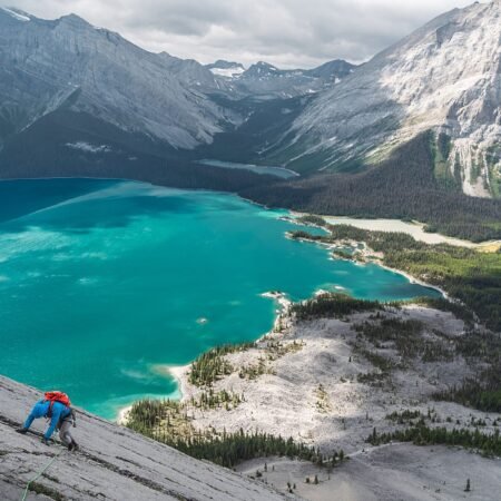 Caribbean Alpine