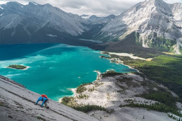 Caribbean Alpine